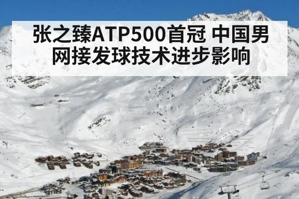 张之臻ATP500首冠 中国男网接发球技术进步影响